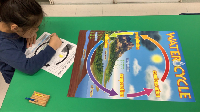 NURTURING CARE MCC BEFORE & AFTER PROGRAM