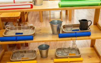 What role do a year of early language shelf activities play in your preschooler’s development? 